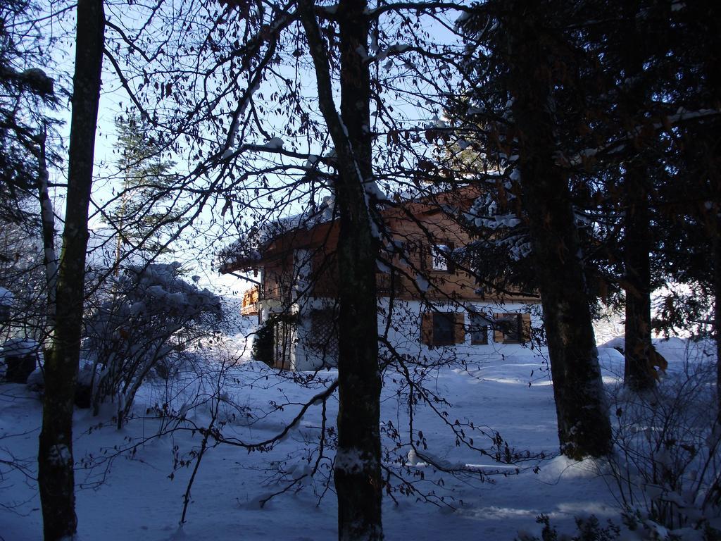 Ferienwohnung Am Roemerweg Wald Инцелль Экстерьер фото